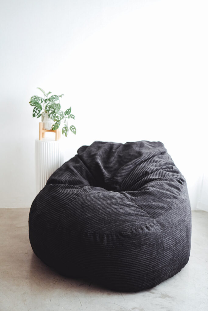 Durable Everyday Bean Chair